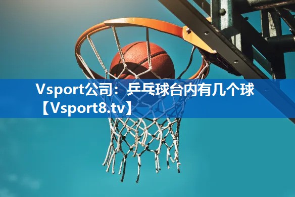 Vsport公司：乒乓球台内有几个球