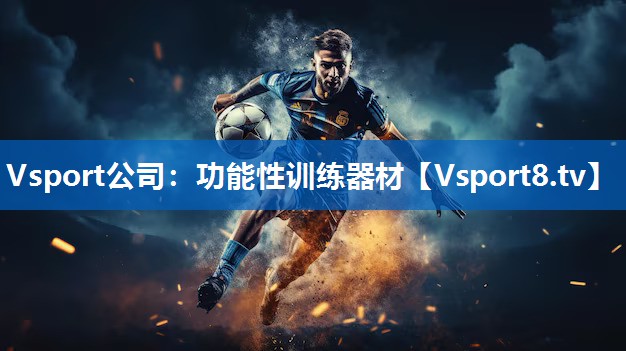 Vsport公司：功能性训练器材