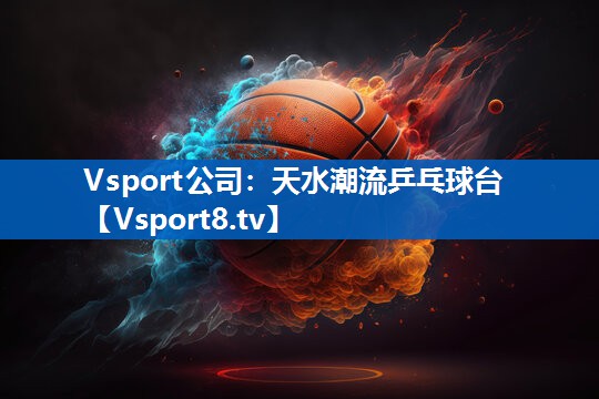 Vsport公司：天水潮流乒乓球台