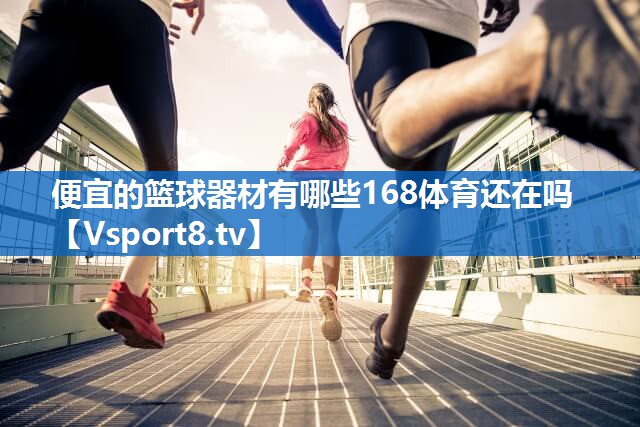 便宜的篮球器材有哪些168体育还在吗