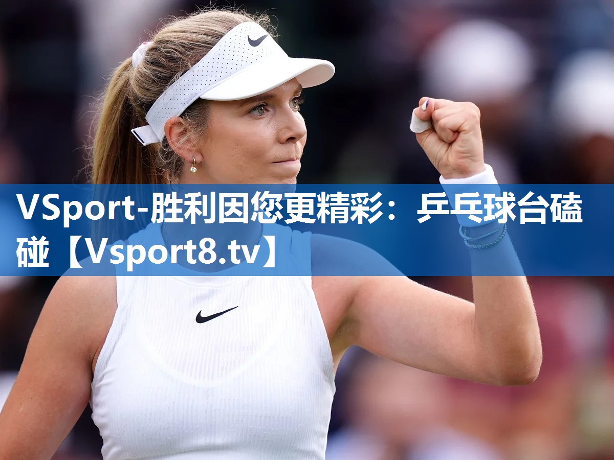 VSport-胜利因您更精彩：乒乓球台磕碰