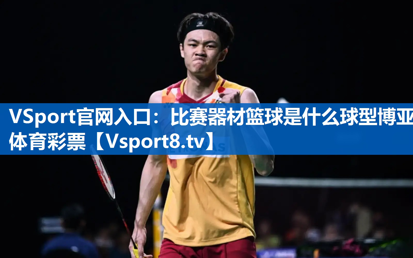 VSport官网入口：比赛器材篮球是什么球型博亚体育彩票