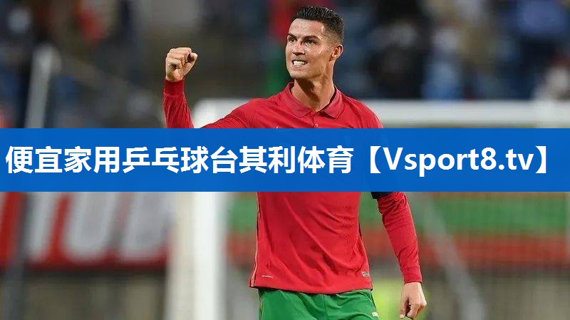 便宜家用乒乓球台其利体育
