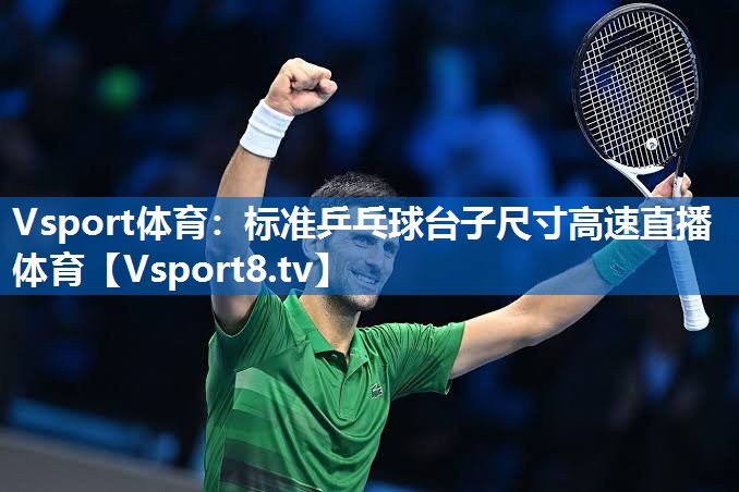Vsport体育：标准乒乓球台子尺寸高速直播体育