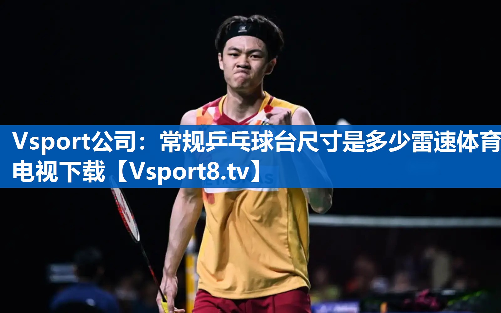 Vsport公司：常规乒乓球台尺寸是多少雷速体育电视下载