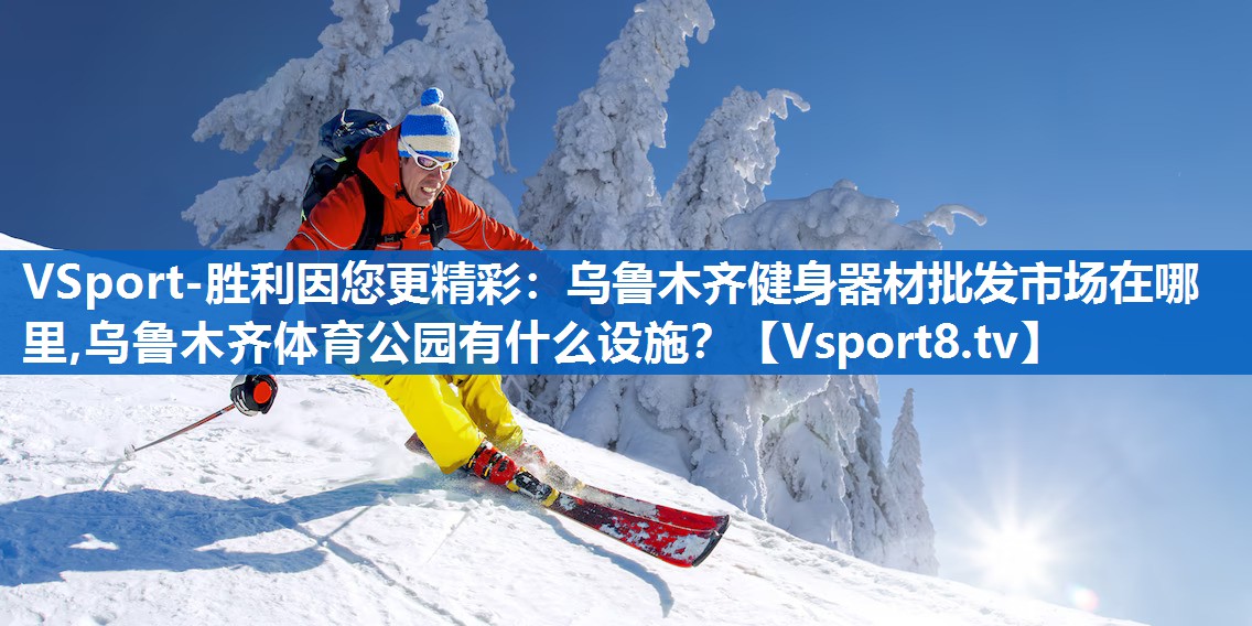 VSport-胜利因您更精彩：乌鲁木齐健身器材批发市场在哪里,乌鲁木齐体育公园有什么设施？