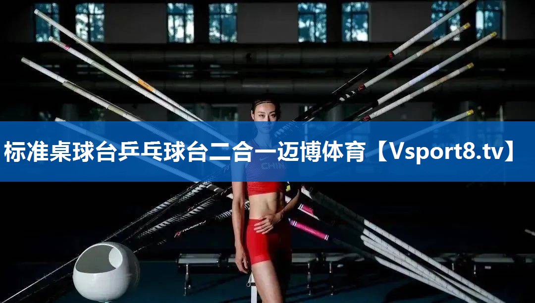 标准桌球台乒乓球台二合一迈博体育