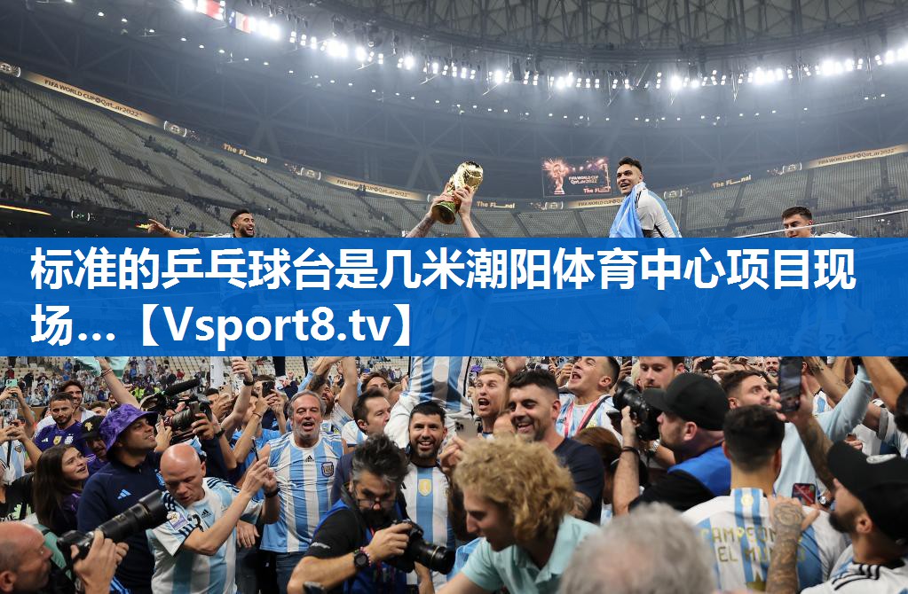 标准的乒乓球台是几米潮阳体育中心项目现场…