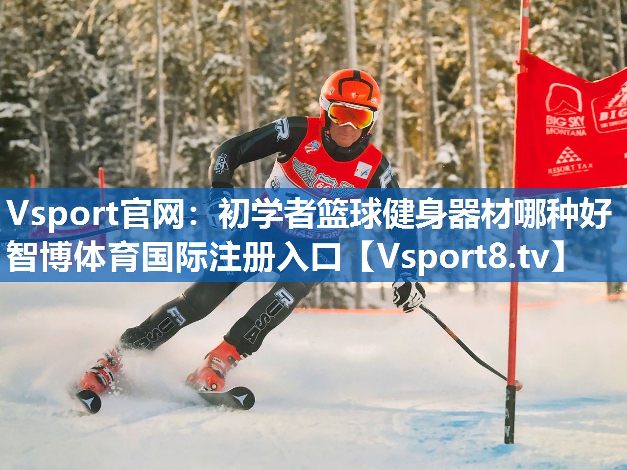 Vsport官网：初学者篮球健身器材哪种好智博体育国际注册入口