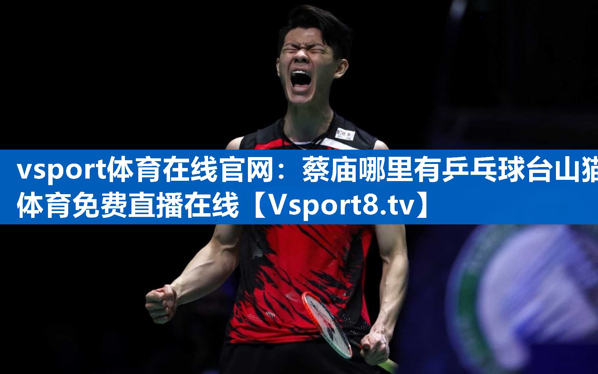 vsport体育在线官网：蔡庙哪里有乒乓球台山猫体育免费直播在线