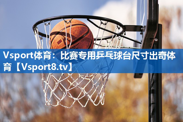 Vsport体育：比赛专用乒乓球台尺寸出奇体育