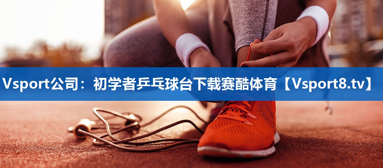 Vsport公司：初学者乒乓球台下载赛酷体育