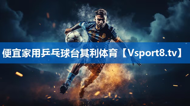 便宜家用乒乓球台其利体育