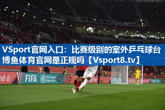 VSport官网入口：比赛级别的室外乒乓球台博鱼体育官网是正规吗