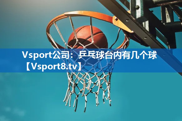 乒乓球台内有几个球