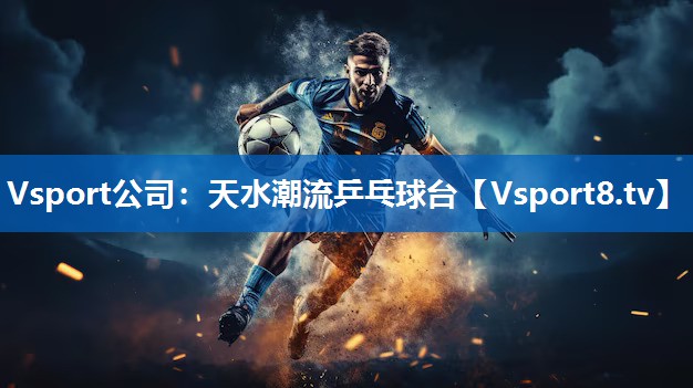 天水潮流乒乓球台
