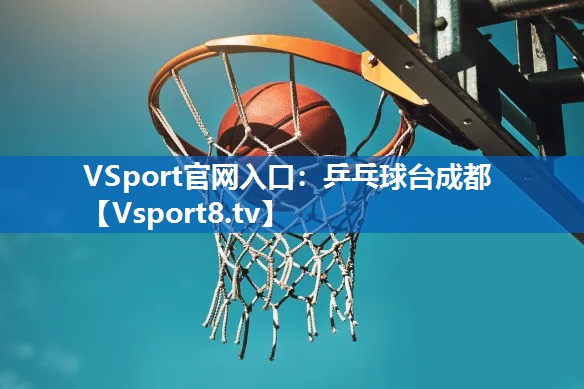 VSport官网入口：乒乓球台成都