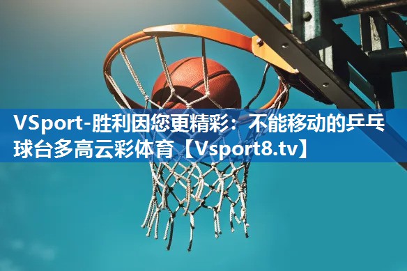 VSport-胜利因您更精彩：不能移动的乒乓球台多高云彩体育