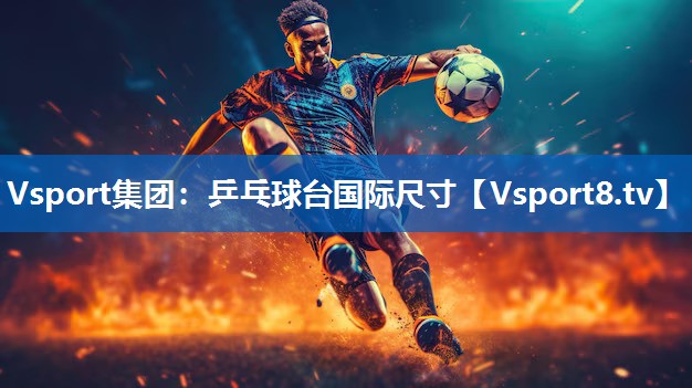 Vsport集团：乒乓球台国际尺寸
