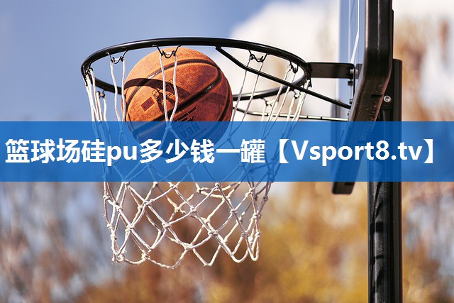 篮球场硅pu多少钱一罐