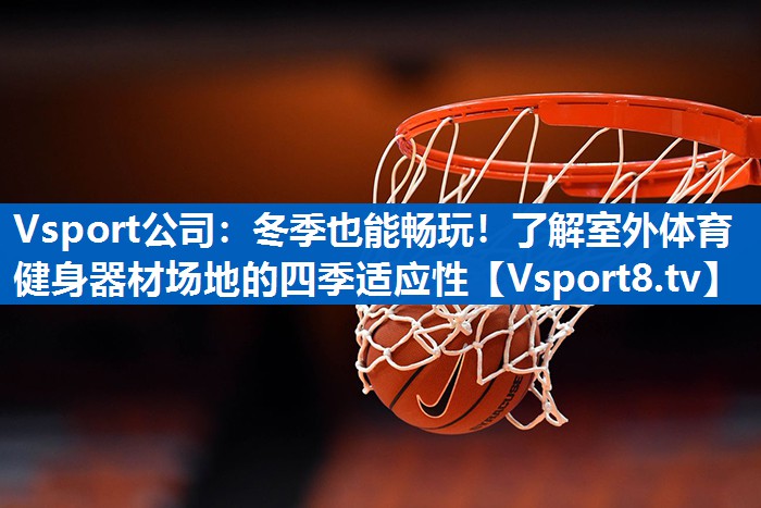 Vsport公司：冬季也能畅玩！了解室外体育健身器材场地的四季适应性