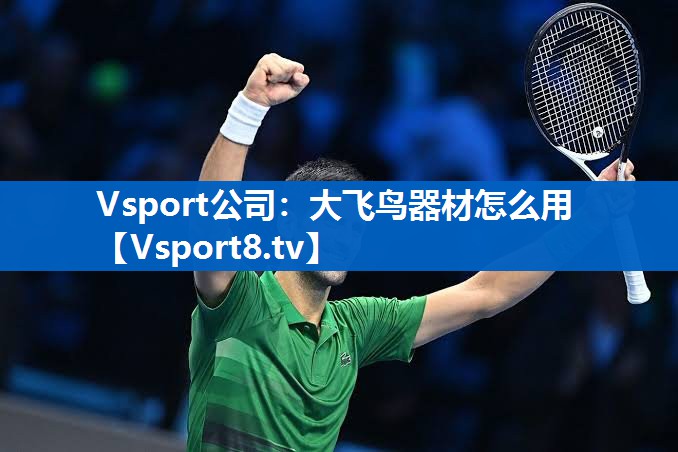 Vsport公司：大飞鸟器材怎么用
