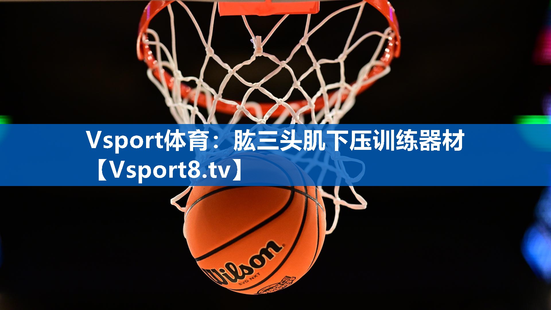 Vsport体育：肱三头肌下压训练器材