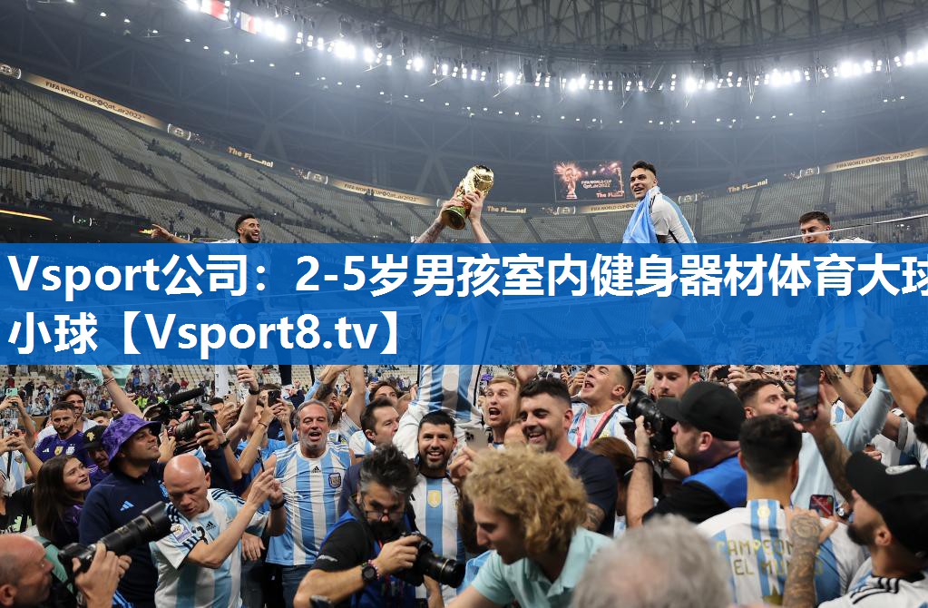 Vsport公司：2-5岁男孩室内健身器材体育大球小球