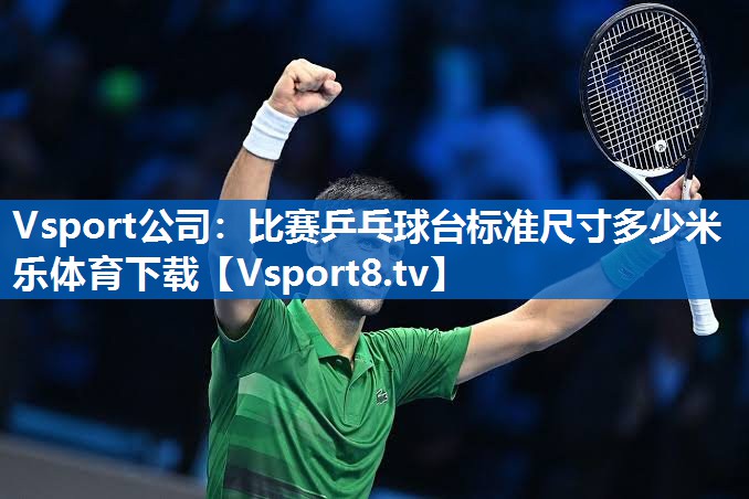 Vsport公司：比赛乒乓球台标准尺寸多少米乐体育下载