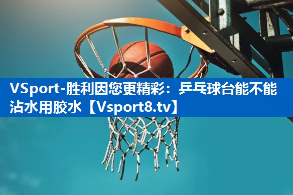 VSport-胜利因您更精彩：乒乓球台能不能沾水用胶水