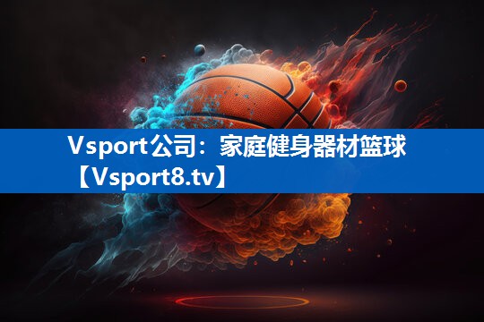 Vsport公司：家庭健身器材篮球