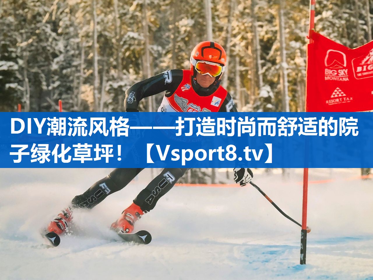 DIY潮流风格——打造时尚而舒适的院子绿化草坪！