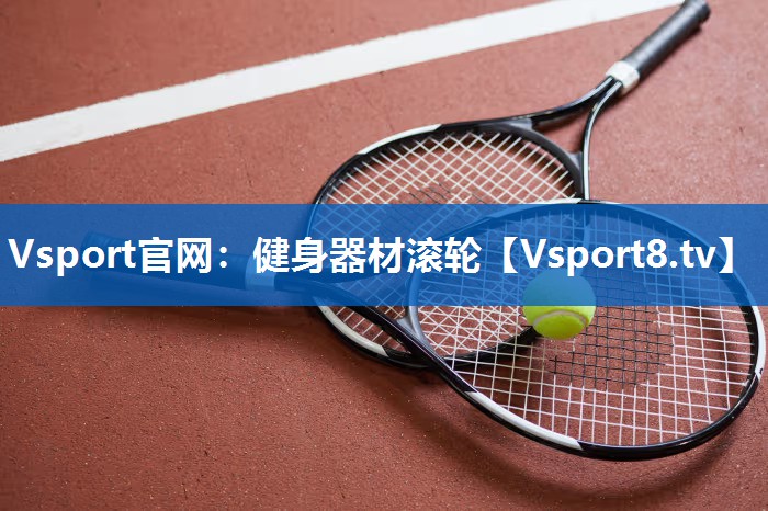 Vsport官网：健身器材滚轮