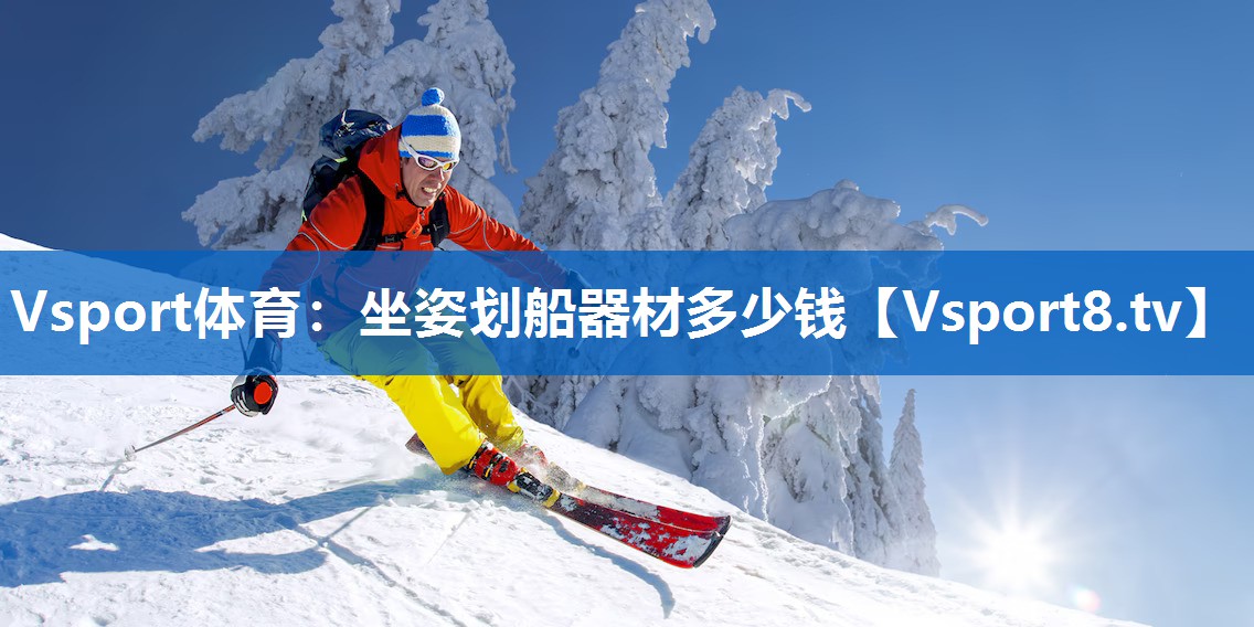 Vsport体育：坐姿划船器材多少钱