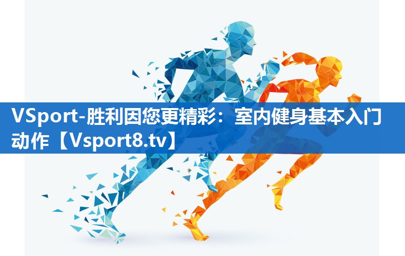 VSport-胜利因您更精彩：室内健身基本入门动作