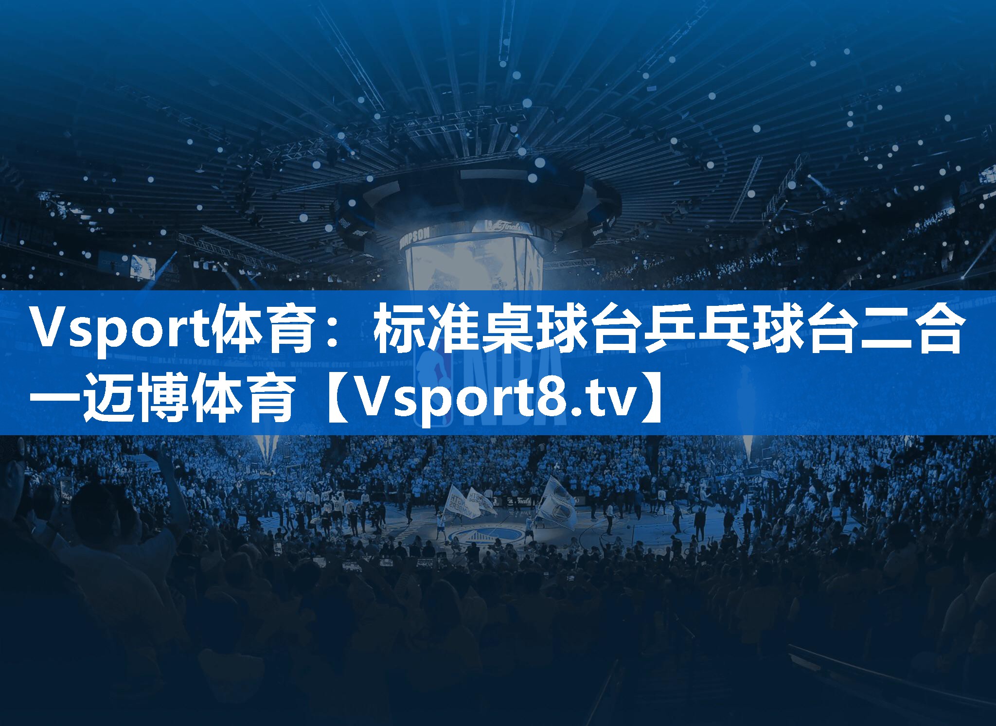 Vsport体育：标准桌球台乒乓球台二合一迈博体育