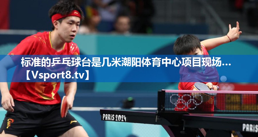 标准的乒乓球台是几米潮阳体育中心项目现场…