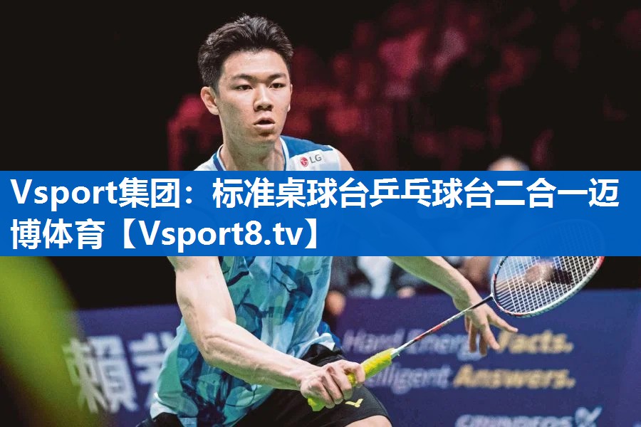 Vsport集团：标准桌球台乒乓球台二合一迈博体育