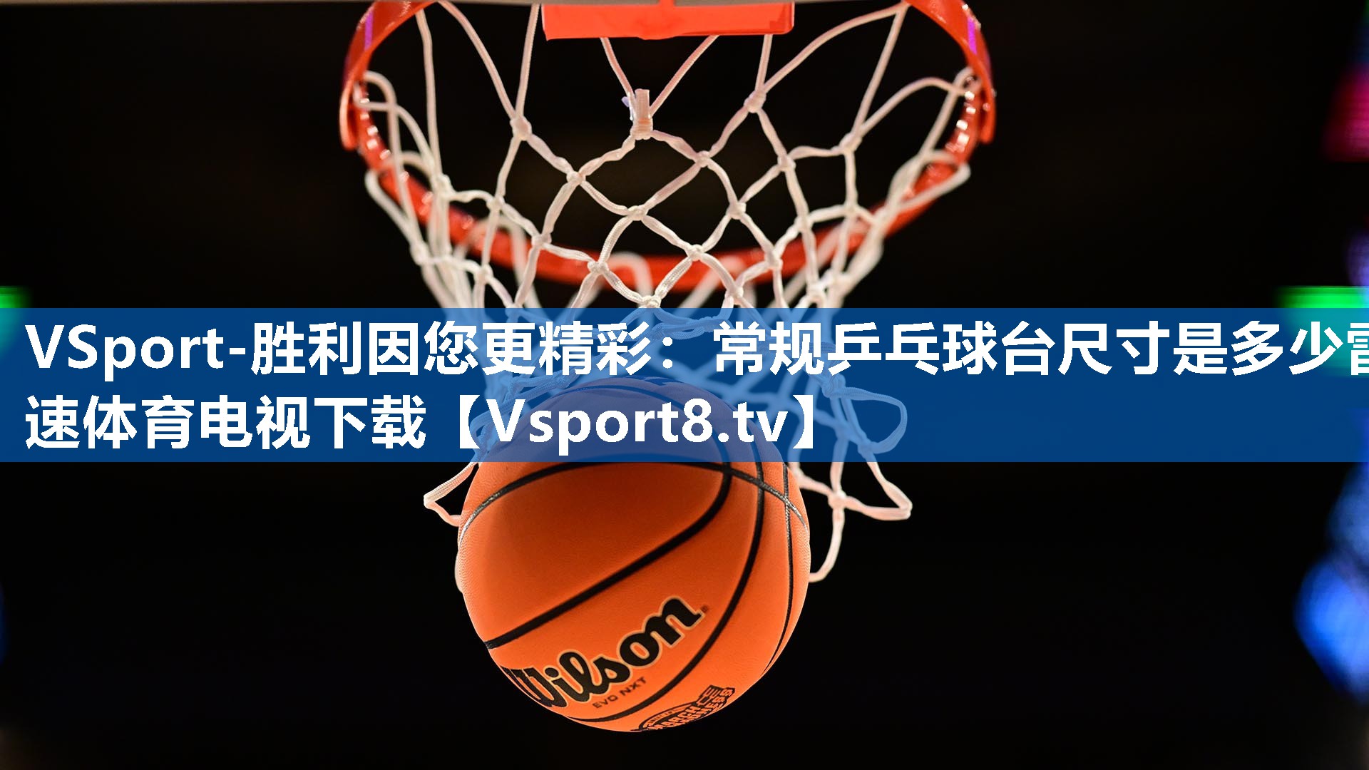 VSport-胜利因您更精彩：常规乒乓球台尺寸是多少雷速体育电视下载