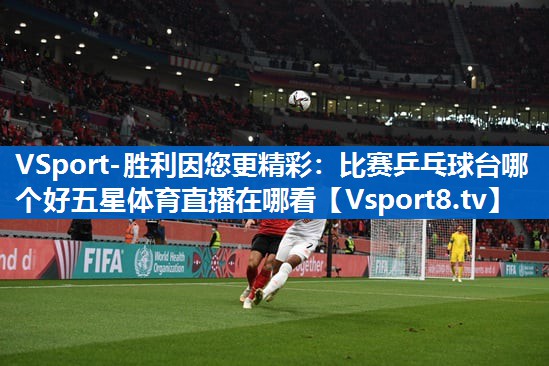 VSport-胜利因您更精彩：比赛乒乓球台哪个好五星体育直播在哪看