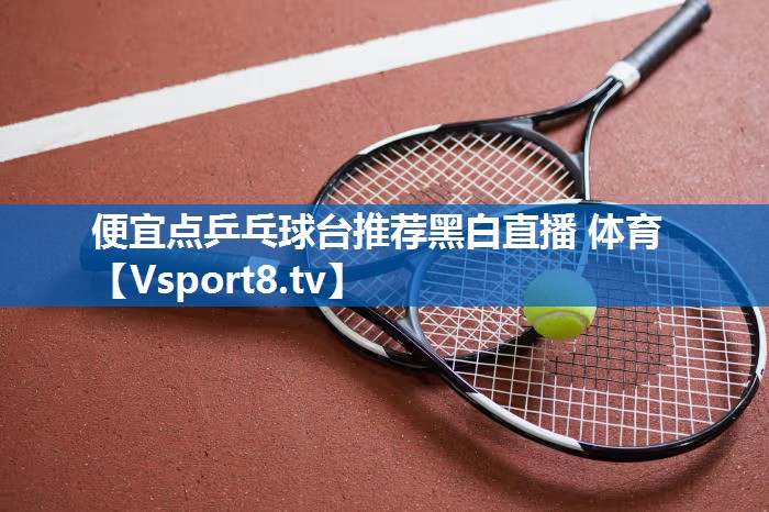 便宜点乒乓球台推荐黑白直播 体育