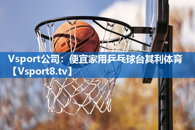 Vsport公司：便宜家用乒乓球台其利体育