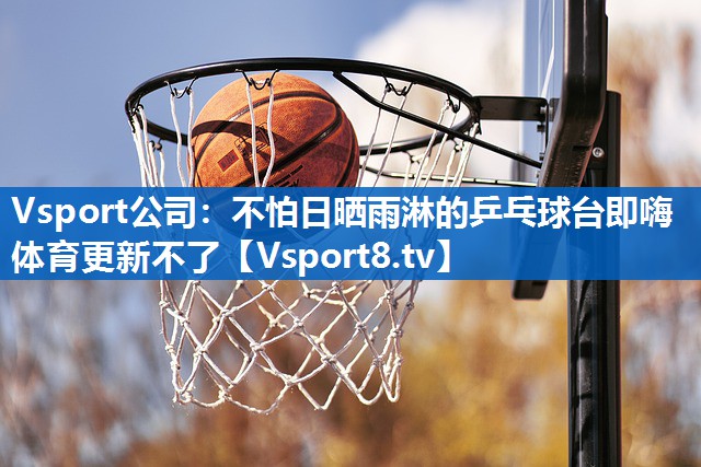 Vsport公司：不怕日晒雨淋的乒乓球台即嗨体育更新不了