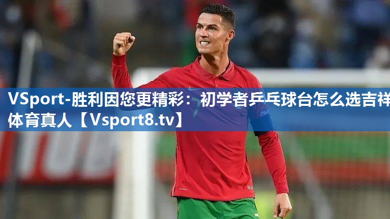 VSport-胜利因您更精彩：初学者乒乓球台怎么选吉祥体育真人