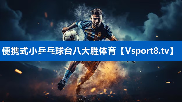 便携式小乒乓球台八大胜体育