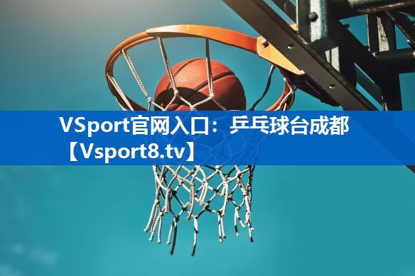 乒乓球台成都