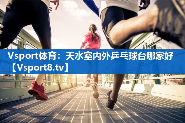 天水室内外乒乓球台哪家好